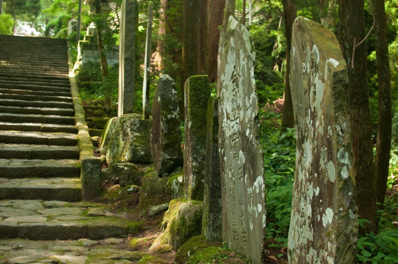 神社の石段